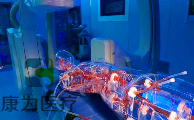 血管介入手术模拟训练系统、冠脉介入手术模拟训练系统、动静脉介入手术模拟训练系统